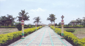 Image alt